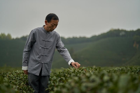 古茗再度携手龙井非遗大师樊生华 