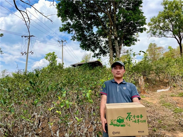 顺丰搭建“空中茶马古道”，邀全国人民共享云茶之鲜